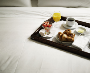 Butterfly-Illustration